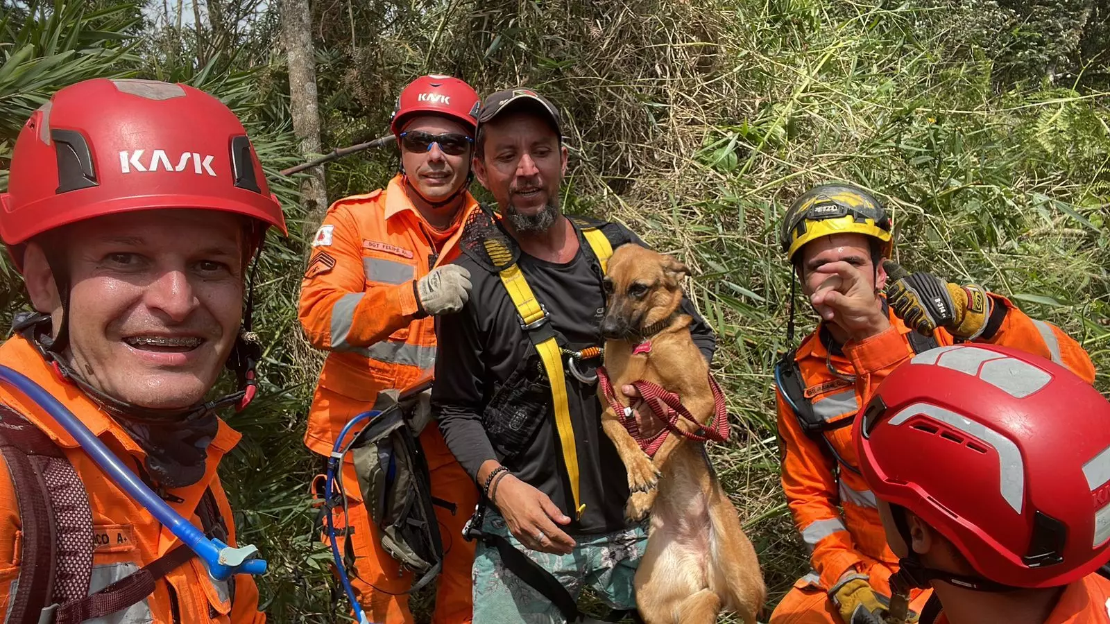 Esportista e cachorra são encontrados pelos bombeiros em mata